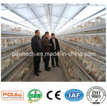 Les meilleures cages de poulet d&#39;équipement de bétail de prix pour des poules de couche